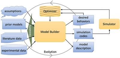 A Spiking Neural Network Builder for Systematic Data-to-Model Workflow